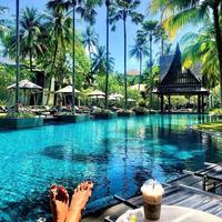 Отзыв от Алиса - Visa DTV